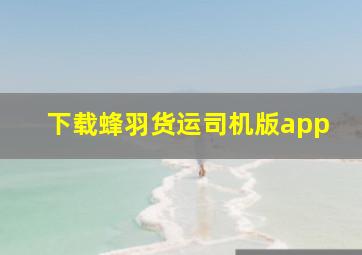 下载蜂羽货运司机版app