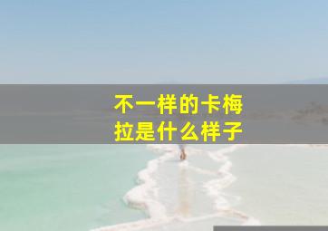 不一样的卡梅拉是什么样子