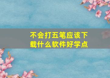 不会打五笔应该下载什么软件好学点