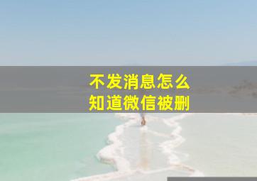 不发消息怎么知道微信被删