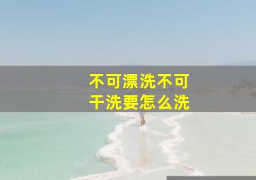 不可漂洗不可干洗要怎么洗