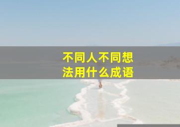 不同人不同想法用什么成语