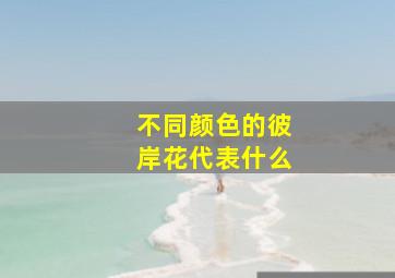 不同颜色的彼岸花代表什么