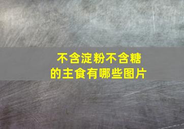 不含淀粉不含糖的主食有哪些图片