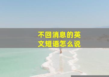 不回消息的英文短语怎么说