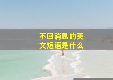 不回消息的英文短语是什么