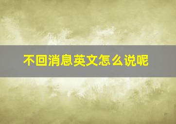 不回消息英文怎么说呢