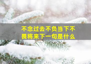 不念过去不负当下不畏将来下一句是什么