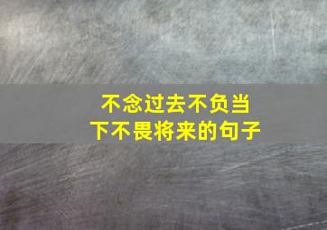 不念过去不负当下不畏将来的句子