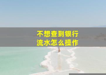 不想查到银行流水怎么操作