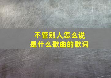 不管别人怎么说是什么歌曲的歌词