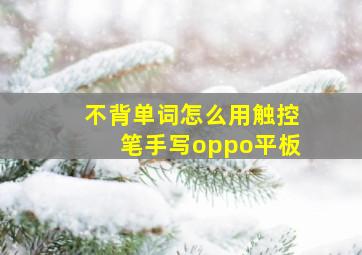 不背单词怎么用触控笔手写oppo平板