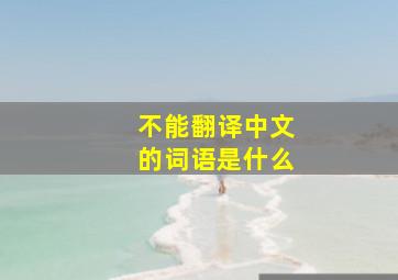 不能翻译中文的词语是什么