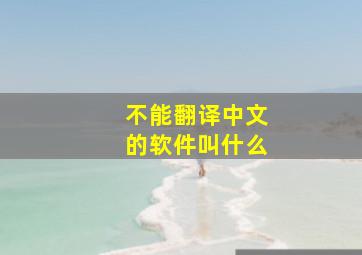 不能翻译中文的软件叫什么