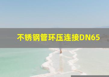 不锈钢管环压连接DN65