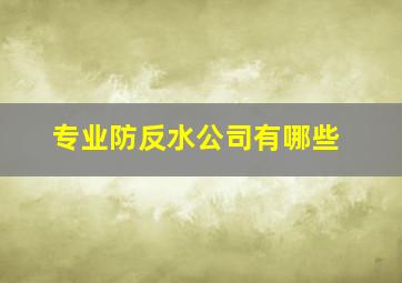 专业防反水公司有哪些