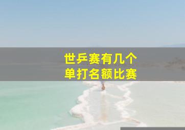 世乒赛有几个单打名额比赛