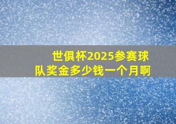 世俱杯2025参赛球队奖金多少钱一个月啊