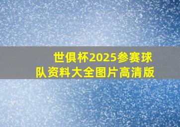 世俱杯2025参赛球队资料大全图片高清版