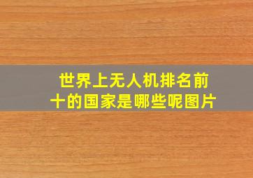 世界上无人机排名前十的国家是哪些呢图片