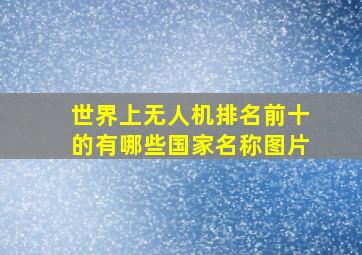 世界上无人机排名前十的有哪些国家名称图片