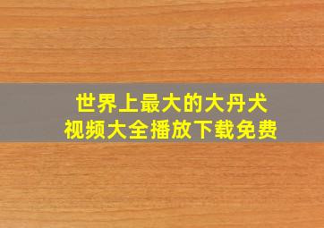 世界上最大的大丹犬视频大全播放下载免费