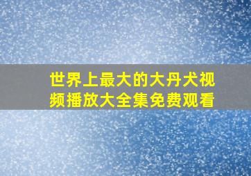 世界上最大的大丹犬视频播放大全集免费观看