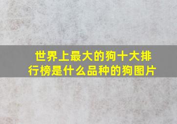 世界上最大的狗十大排行榜是什么品种的狗图片