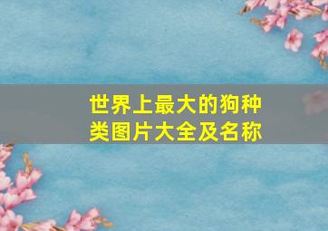 世界上最大的狗种类图片大全及名称