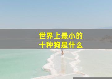 世界上最小的十种狗是什么