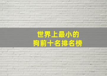 世界上最小的狗前十名排名榜