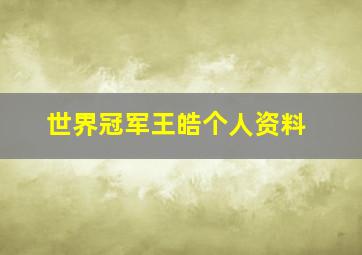 世界冠军王皓个人资料