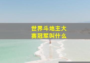 世界斗地主大赛冠军叫什么