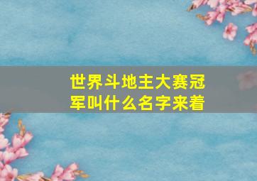 世界斗地主大赛冠军叫什么名字来着