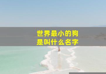 世界最小的狗是叫什么名字