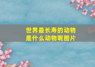 世界最长寿的动物是什么动物呢图片