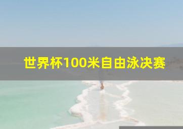 世界杯100米自由泳决赛