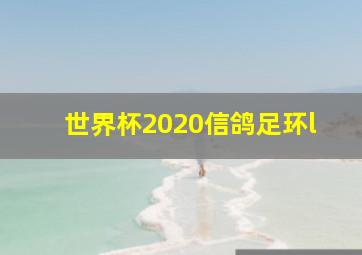 世界杯2020信鸽足环l