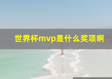 世界杯mvp是什么奖项啊