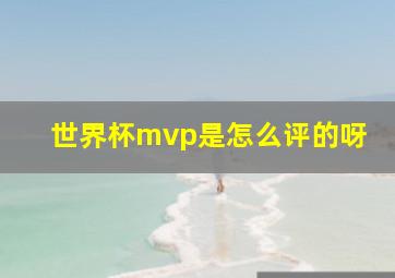 世界杯mvp是怎么评的呀