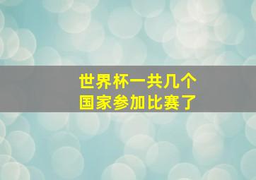 世界杯一共几个国家参加比赛了