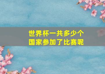 世界杯一共多少个国家参加了比赛呢