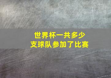 世界杯一共多少支球队参加了比赛