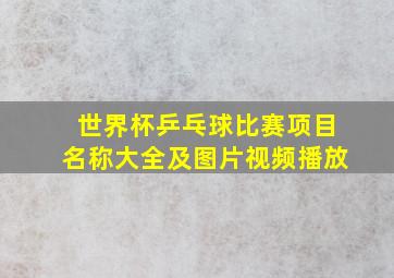 世界杯乒乓球比赛项目名称大全及图片视频播放