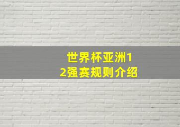 世界杯亚洲12强赛规则介绍