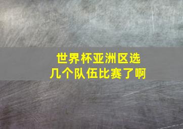 世界杯亚洲区选几个队伍比赛了啊