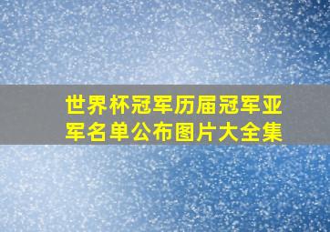 世界杯冠军历届冠军亚军名单公布图片大全集