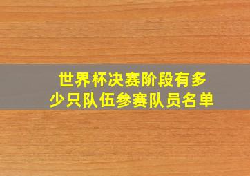 世界杯决赛阶段有多少只队伍参赛队员名单