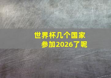 世界杯几个国家参加2026了呢