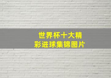 世界杯十大精彩进球集锦图片